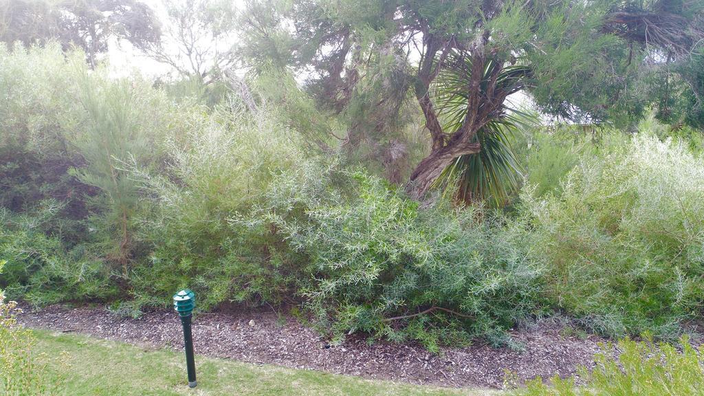 Margaret River Beach Apartments Gnarabup Ngoại thất bức ảnh